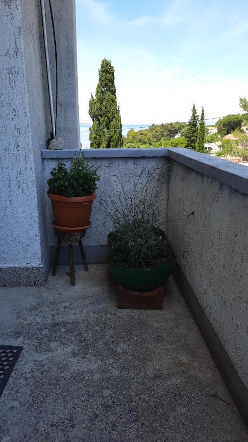 Apartment Pinoapplosinj Veli Lošinj 外观 照片
