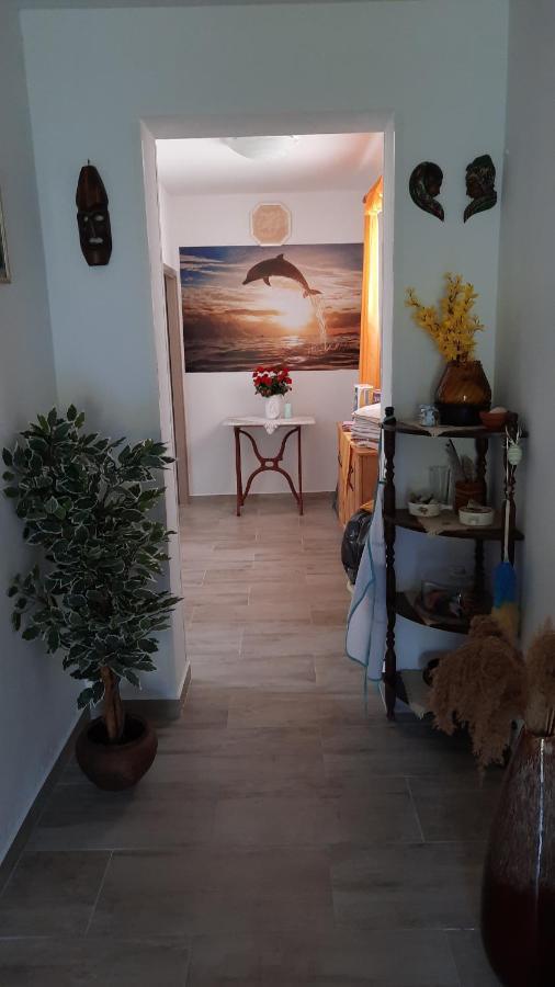 Apartment Pinoapplosinj Veli Lošinj 外观 照片